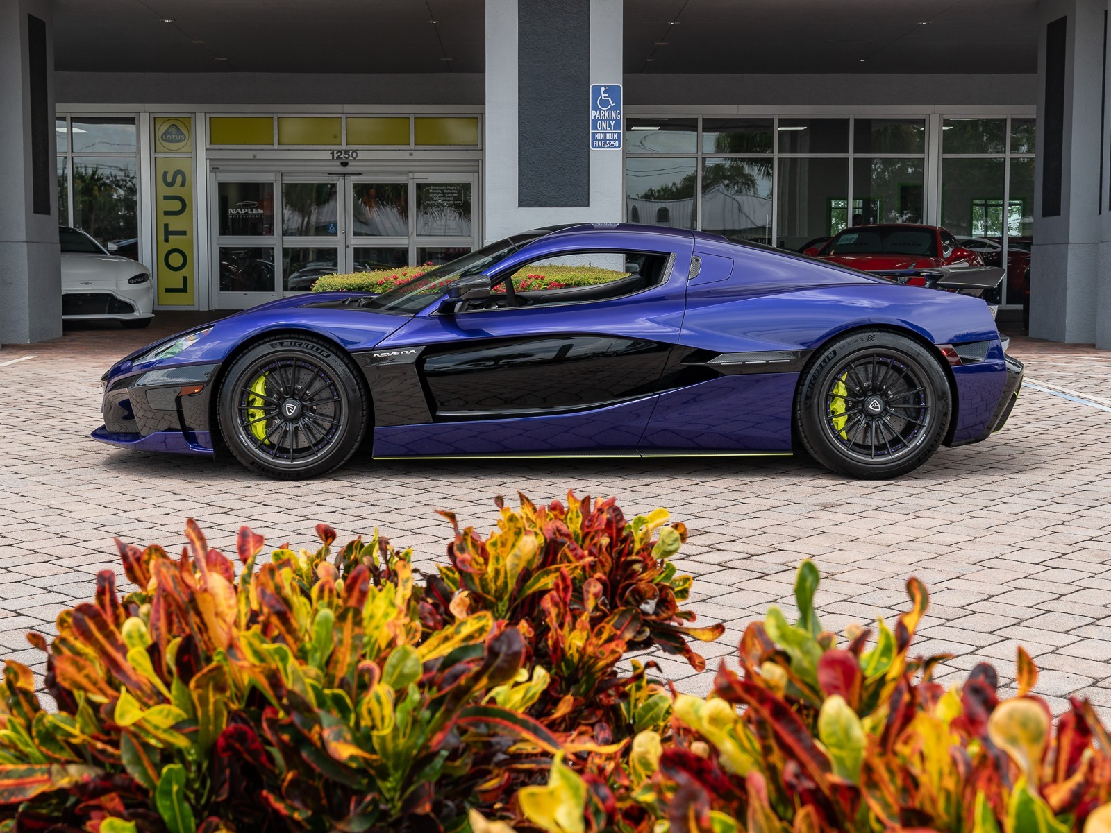 2024 Rimac Nevera photo 6