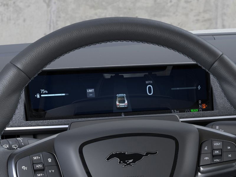 2025 Ford Mustang Mach-E GT photo 8