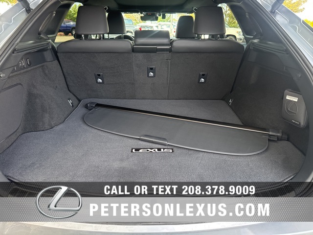 2024 Lexus RX 350h Luxury photo 19