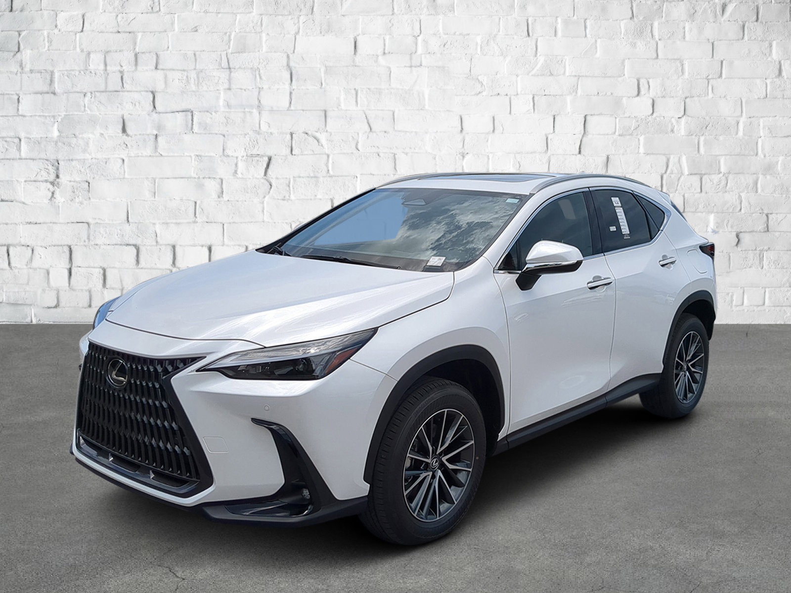 2025 Lexus NX 350h photo 8
