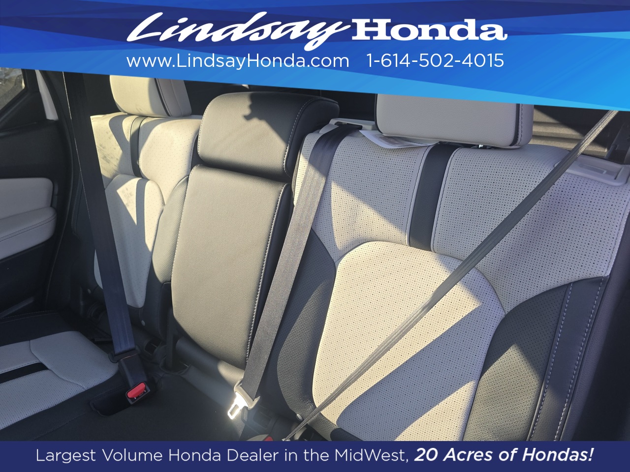 2026 Honda Passport TrailSport Elite photo 8
