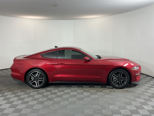 2023 Ford Mustang EcoBoost Premium photo 4