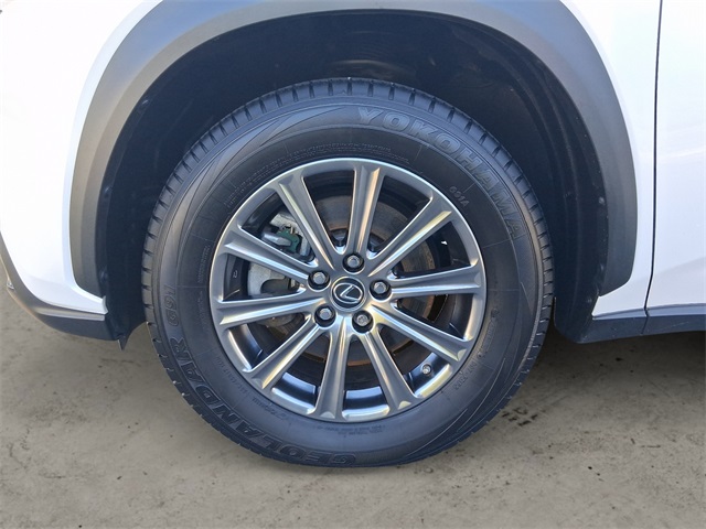 2019 Lexus NX 300 Luxury photo 13