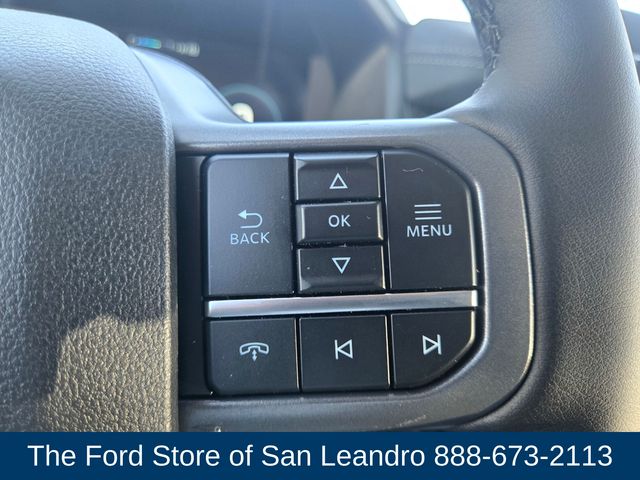 2025 Ford F-150 Lightning photo 22