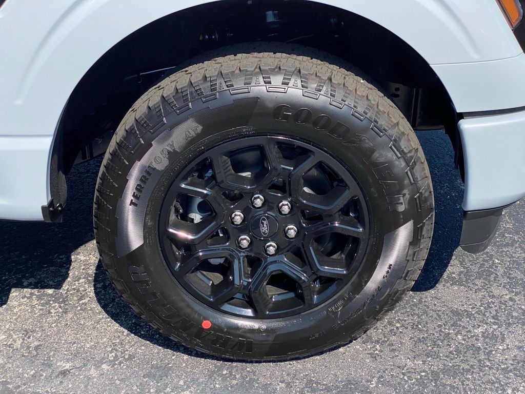 2025 Ford F-150 XLT photo 15
