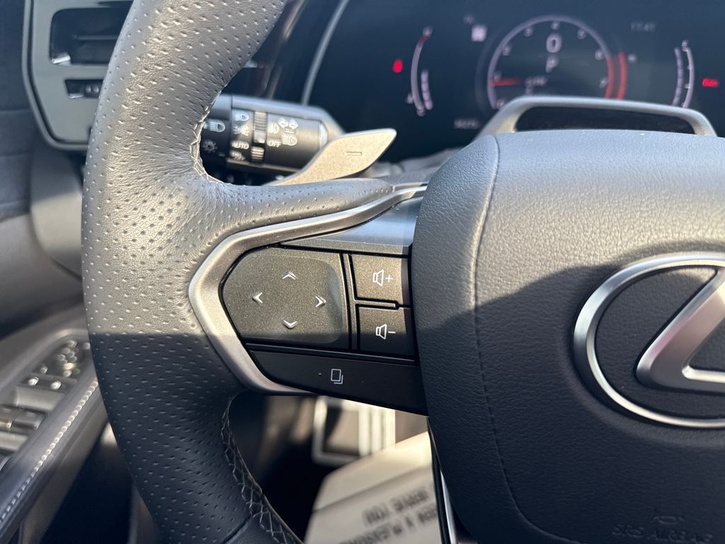 2024 Lexus RX 350 F SPORT Handling photo 19