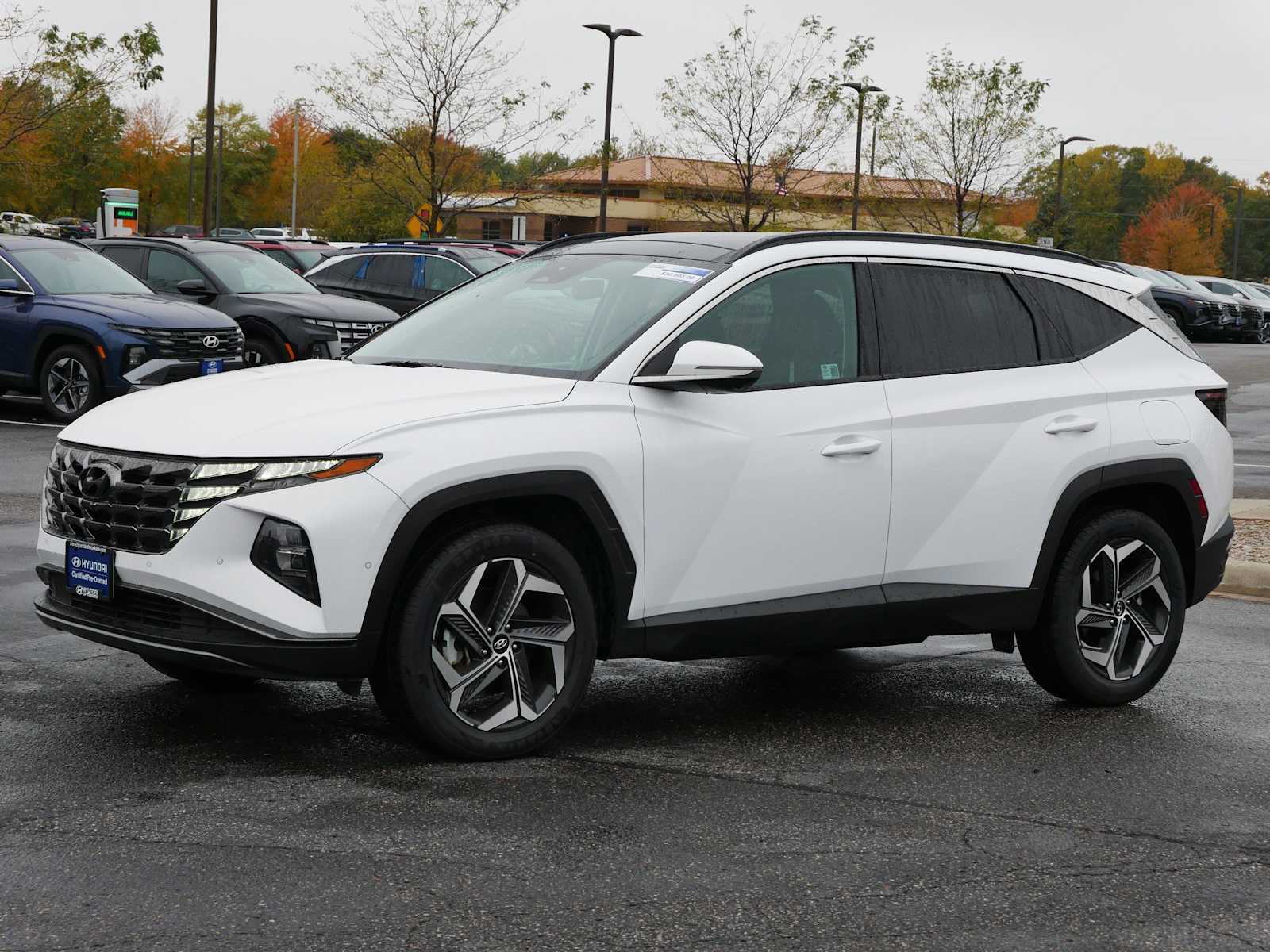 Certified 2024 Hyundai Tucson Limited with VIN 5NMJECDE5RH349097 for sale in Mankato, Minnesota