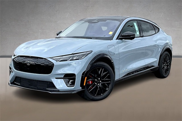 2025 Ford Mustang Mach-E Premium AWD's photo