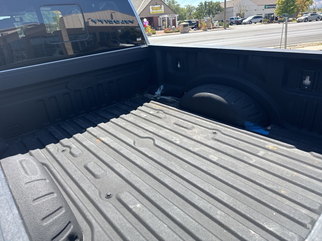 2020 Ford F-250 photo 10
