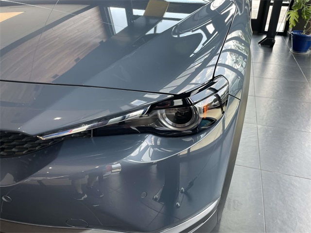 2022 Mazda MX-30 Premium Plus photo 9