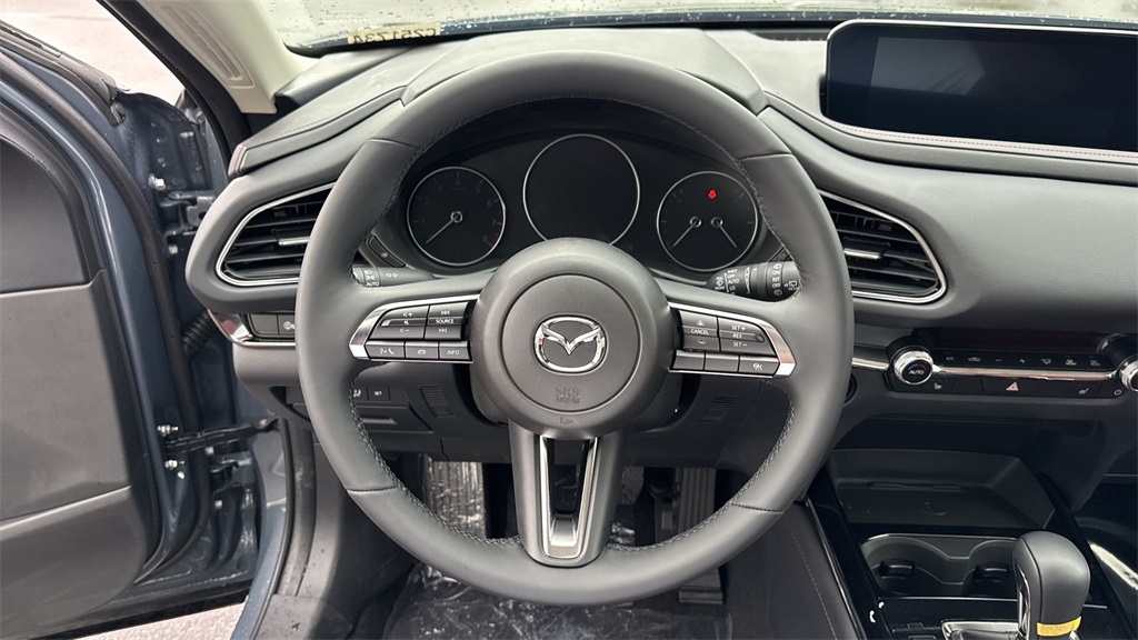 2025 Mazda CX-30 2.5 S Carbon photo 48