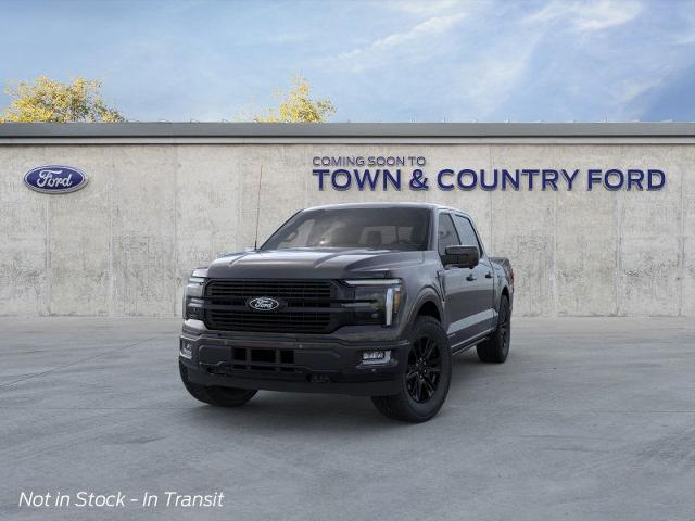 2025 Ford F-150 Platinum photo 20