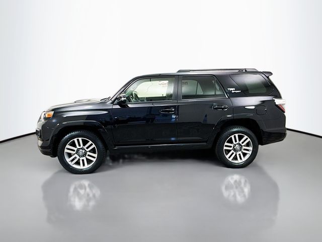 2023 Toyota 4Runner TRD Sport photo 4