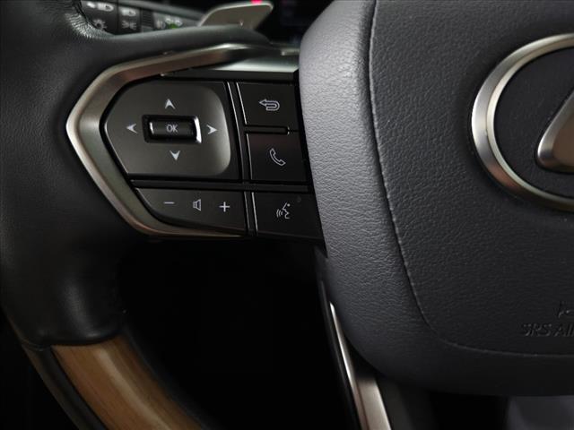 2024 Lexus RX 350 photo 14
