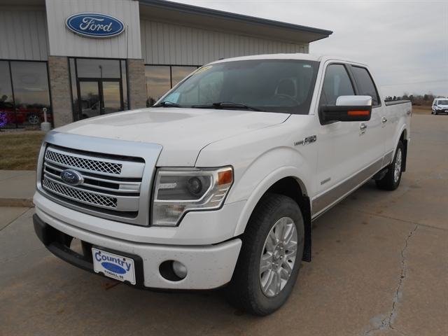2013 Ford F-150 Platinum's photo
