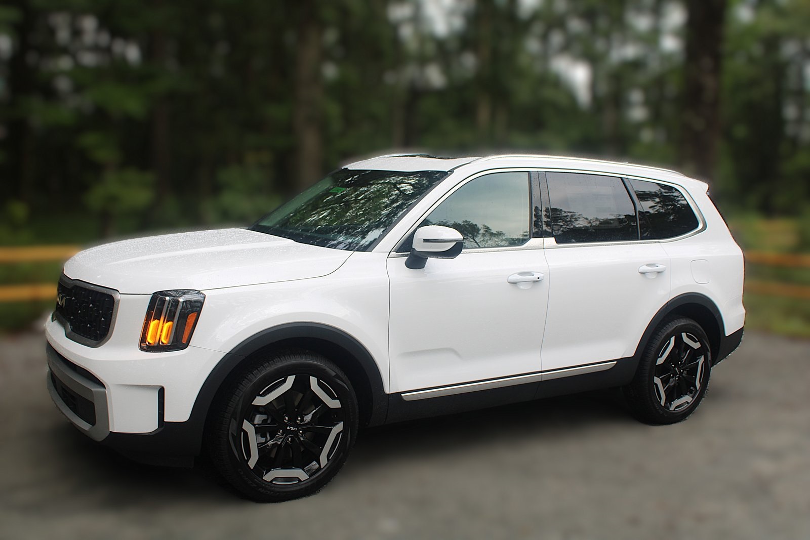 2025 Kia Telluride X-Line EX X-Pro photo 3