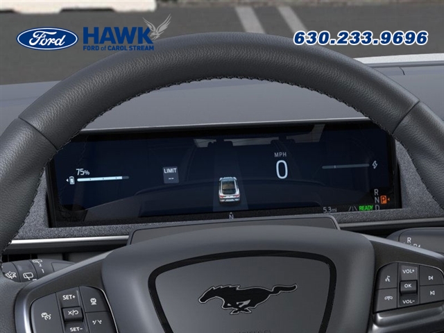 2025 Ford Mustang Mach-E Premium photo 10