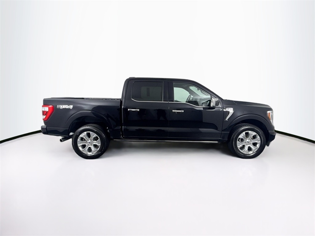 2023 Ford F-150 Platinum photo 4