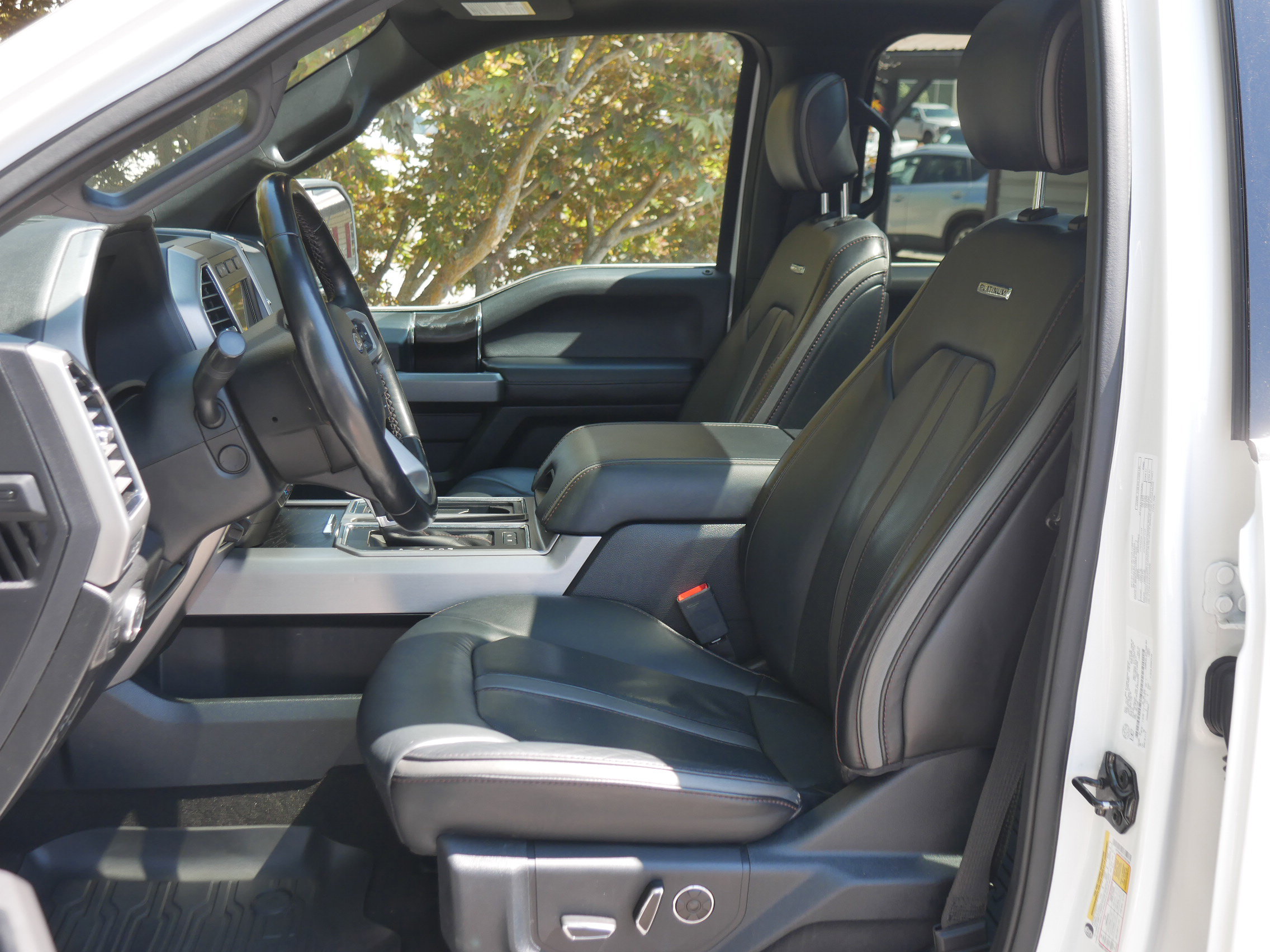 2020 Ford F-150 Platinum photo 2