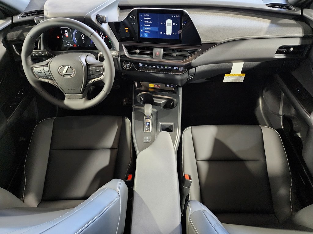 2025 Lexus UX photo 24