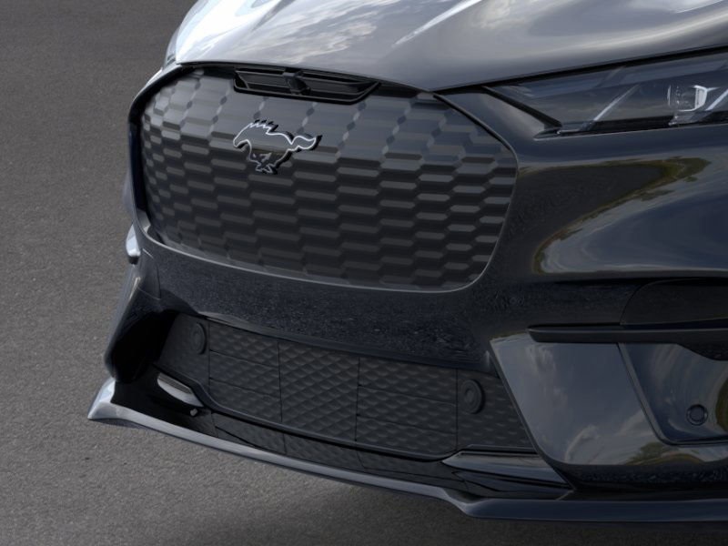 2025 Ford Mustang Mach-E GT photo 14