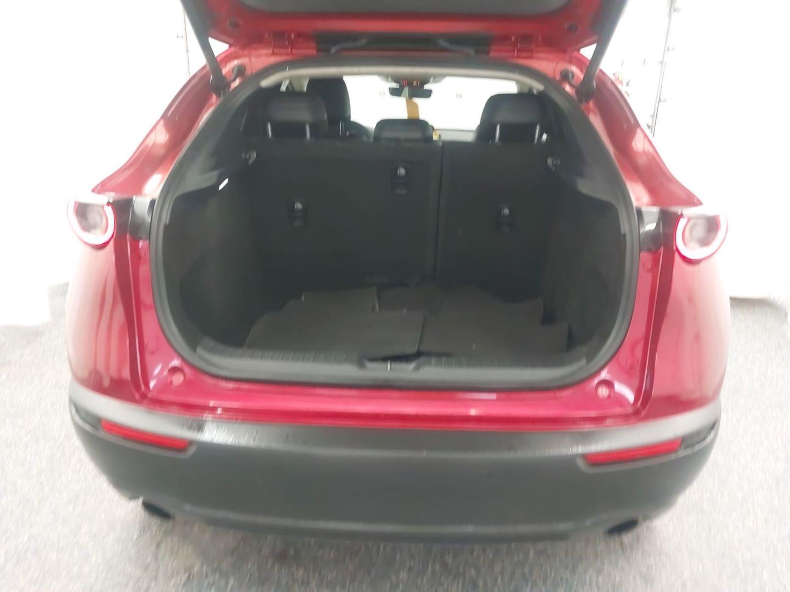 2021 Mazda CX-30 Turbo Premium Plus photo 8