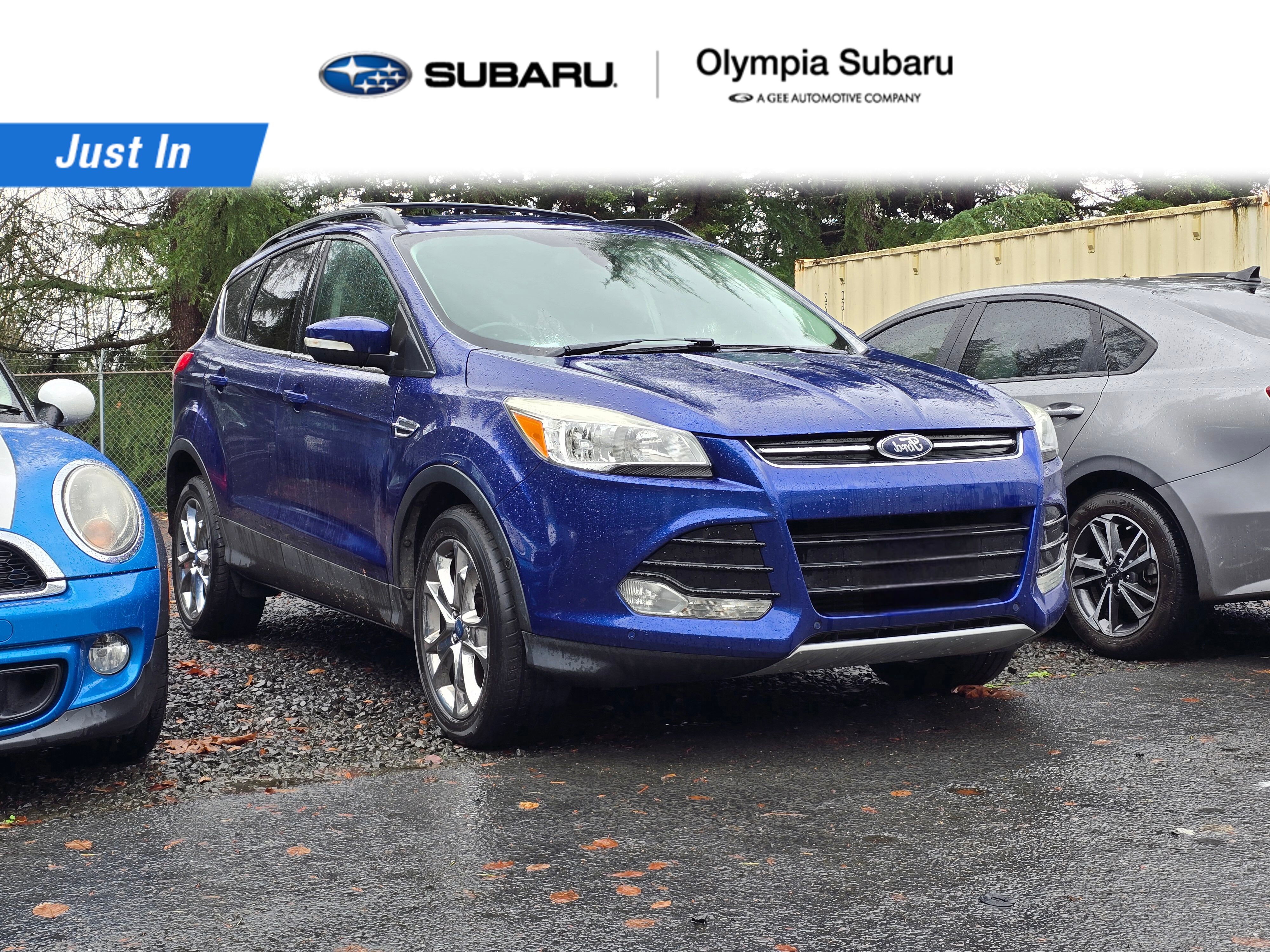 2013 Ford Escape SEL's photo