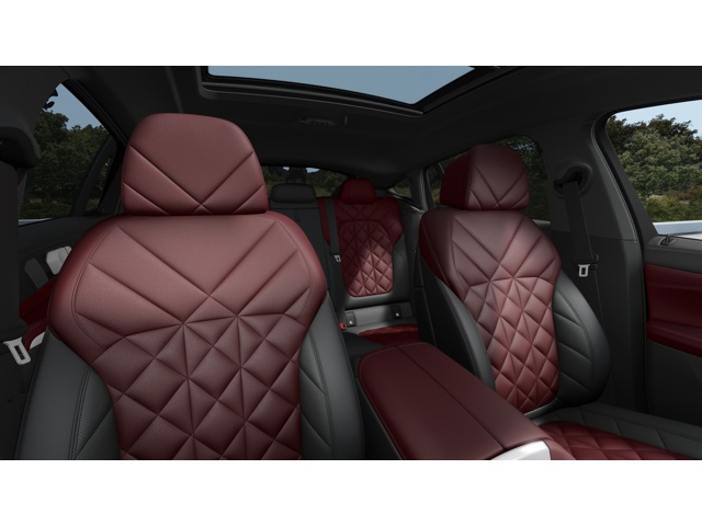 2026 Bmw X6 photo 10
