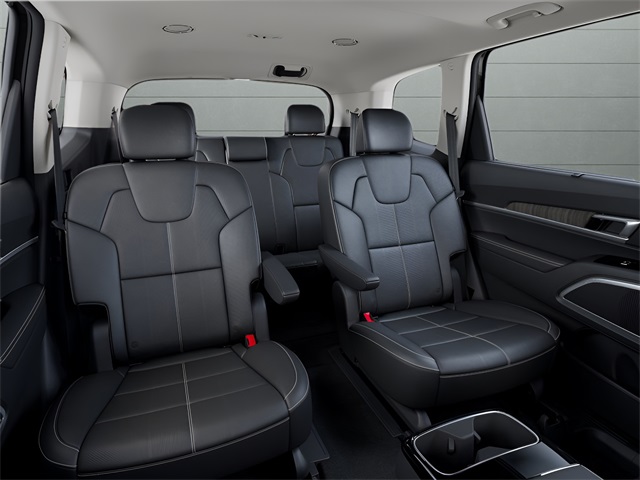 2025 Kia Telluride EX photo 13