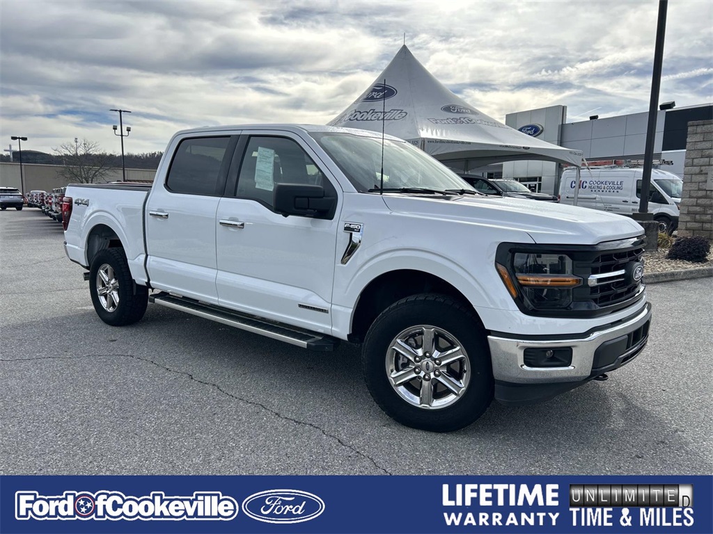 2024 Ford F-150 XLT's photo