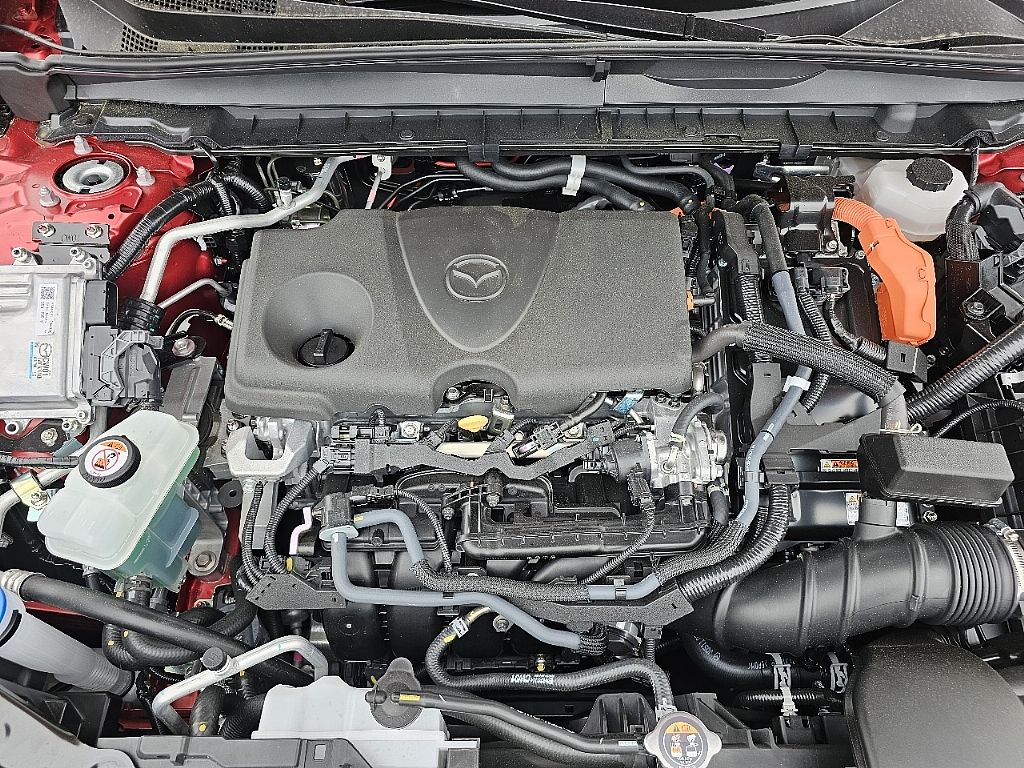 2025 Mazda CX-50 Premium Plus photo 15