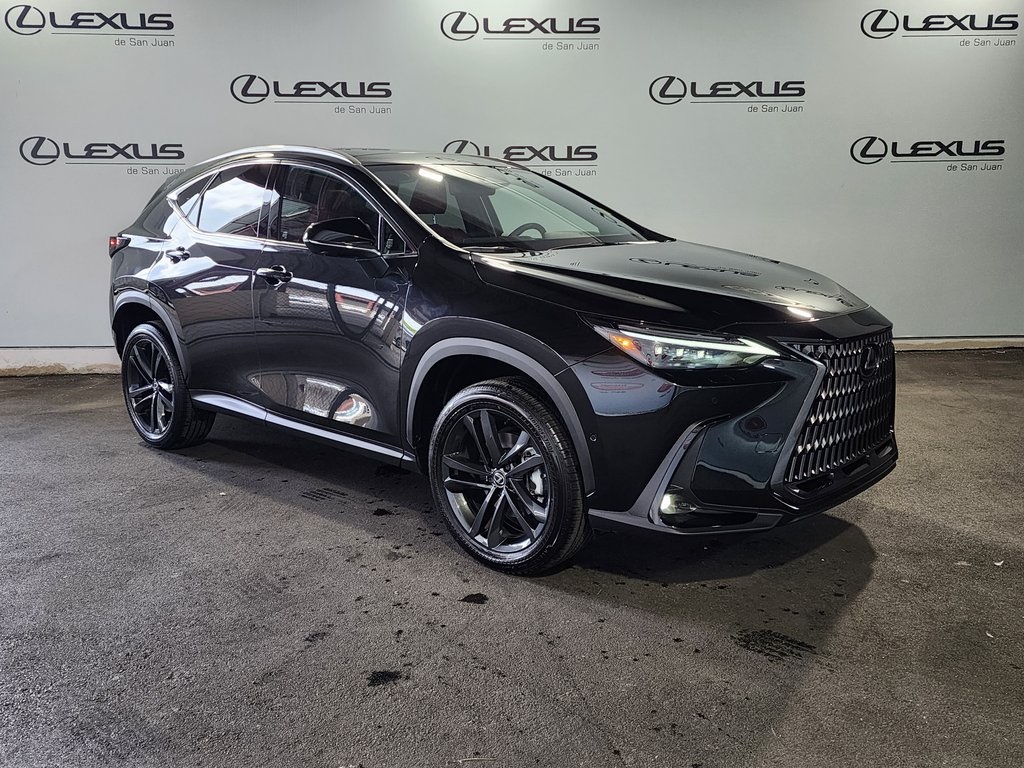 2025 Lexus NX 350h Premium AWD photo 3