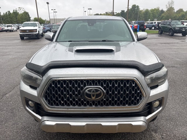 2019 Toyota Tacoma TRD Sport photo 3