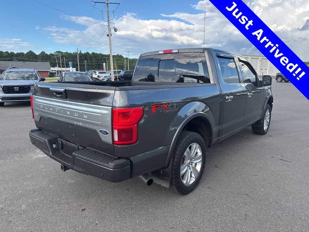 2019 Ford F-150 Platinum photo 2