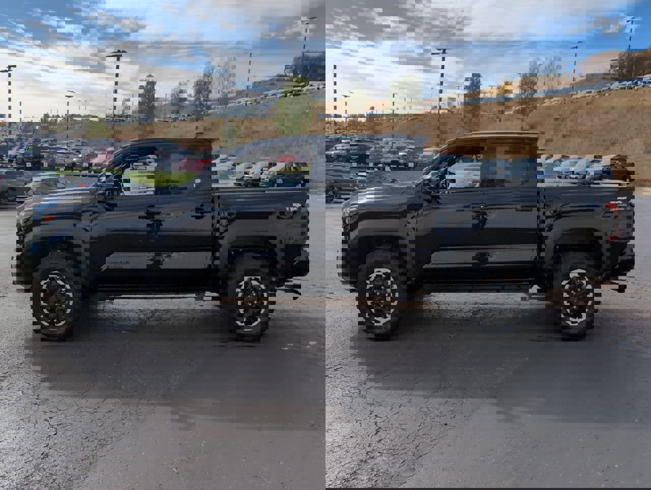 2025 Toyota Tacoma TRD Double Cab photo 4