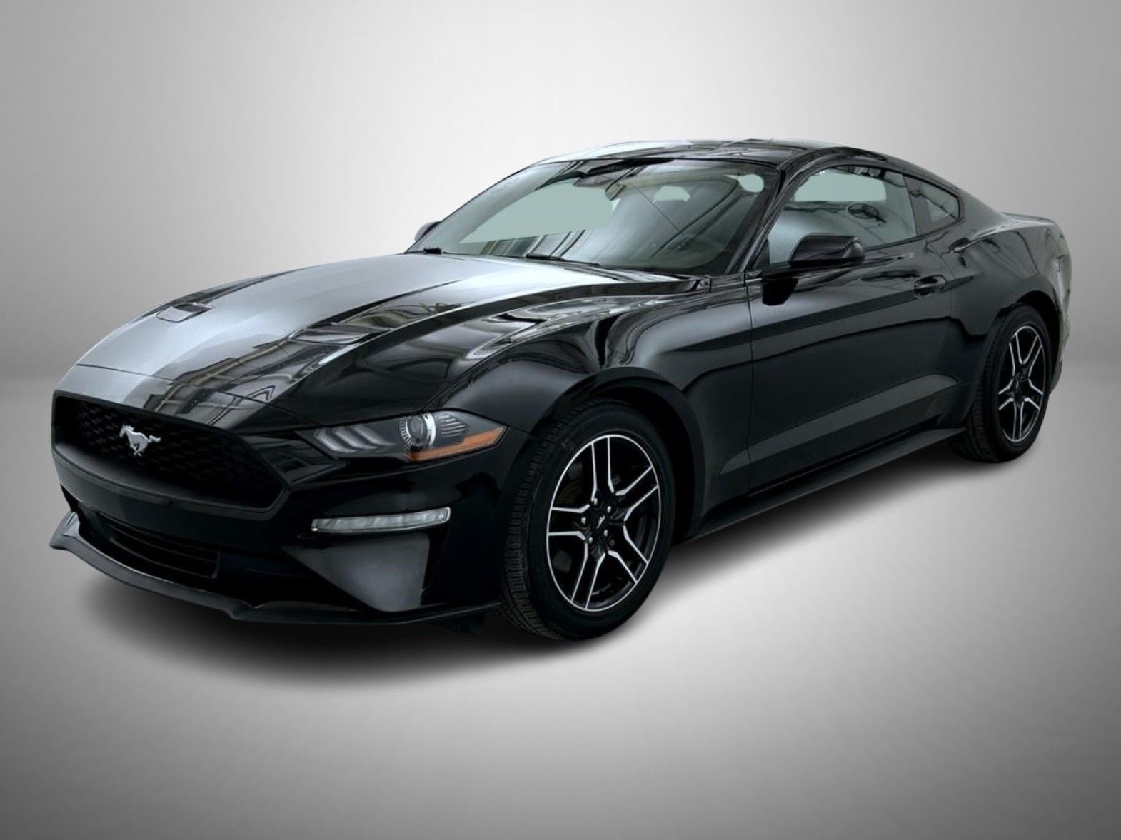2022 Ford Mustang EcoBoost's photo