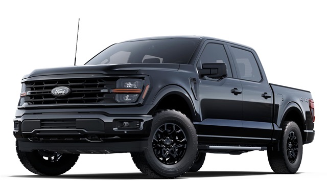 2025 FORD F-150 - Image 1