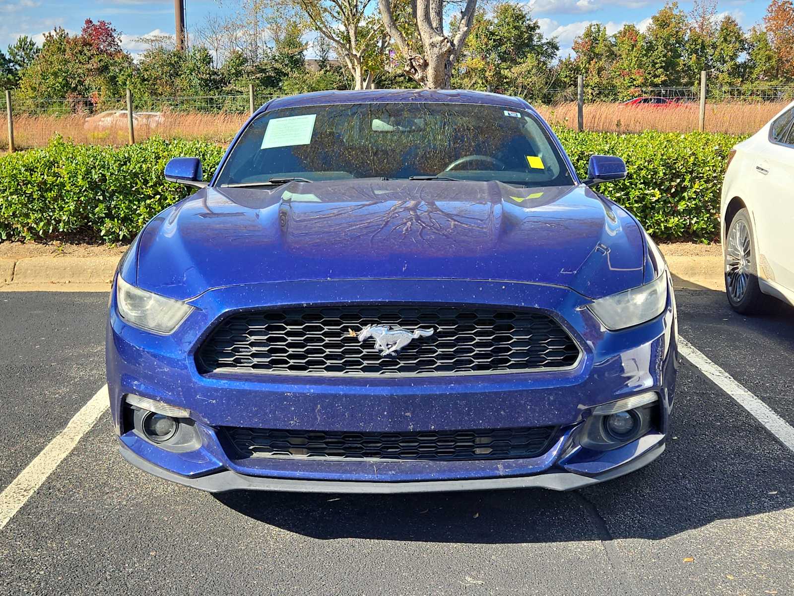 2016 Ford Mustang EcoBoost photo 2