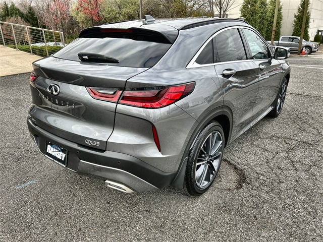 2025 Infiniti QX55 Luxe photo 3