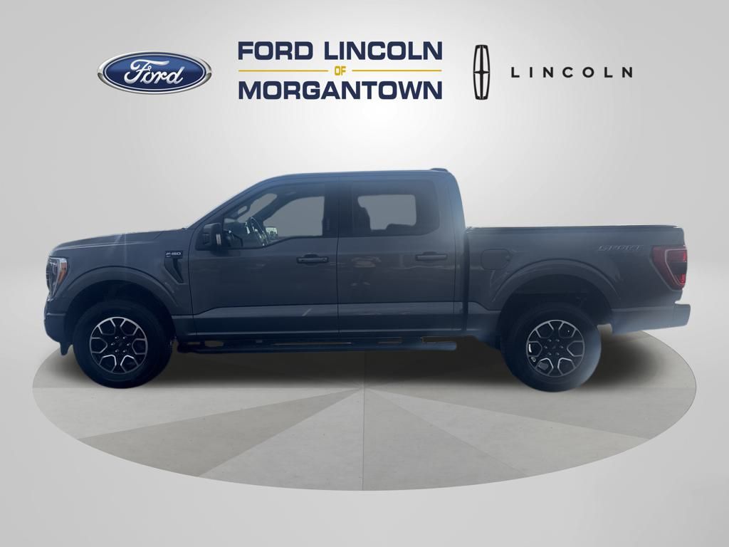 2021 Ford F-150 XLT's photo