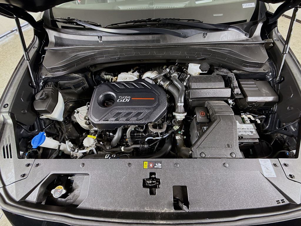 2020 Hyundai Santa Fe Limited photo 31