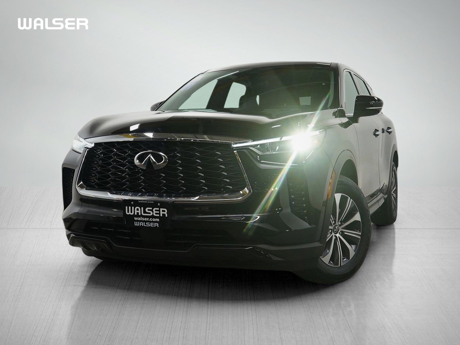 2023 INFINITI QX60 PURE's photo