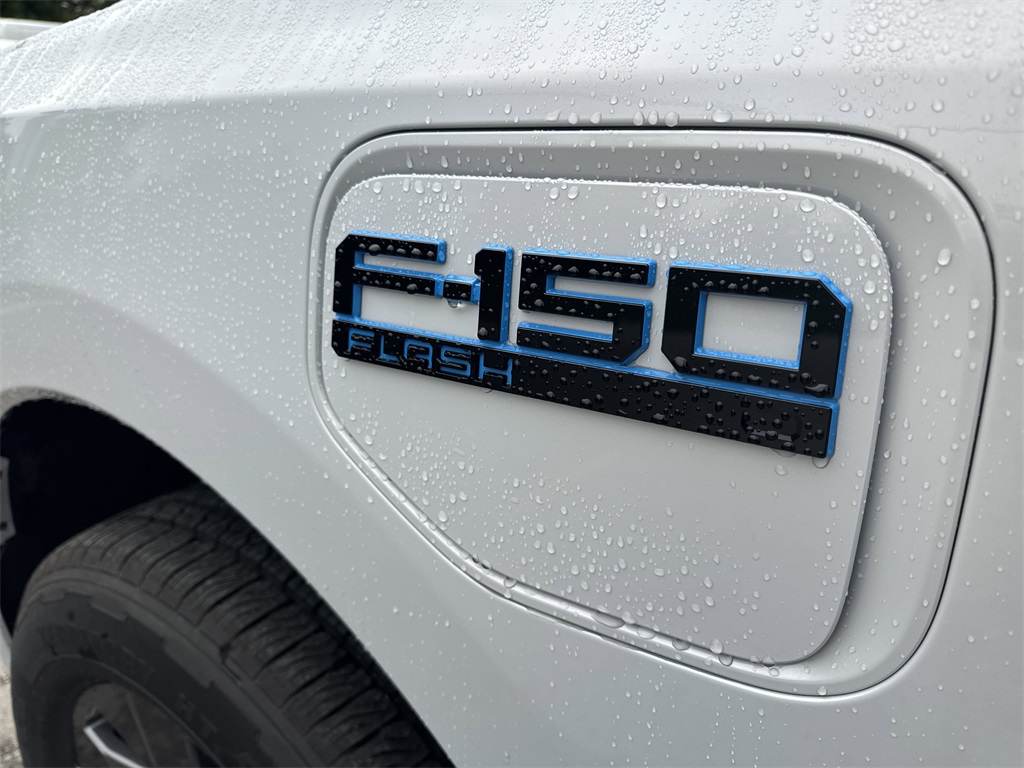 2025 Ford F-150 Lightning photo 15