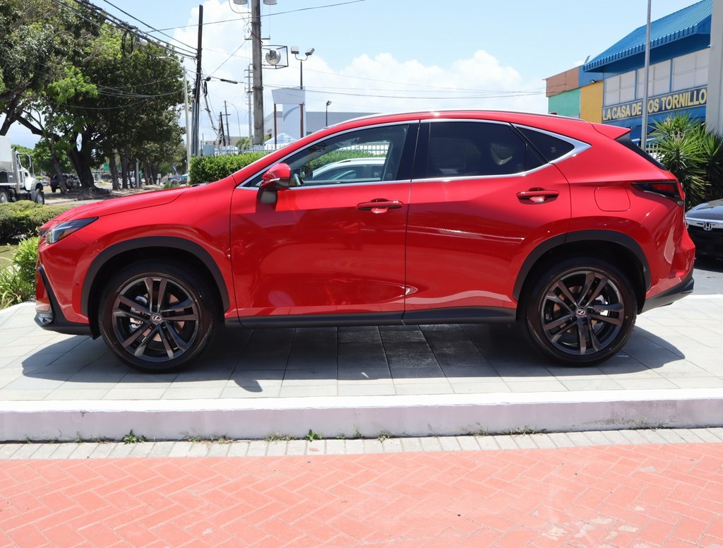 2025 Lexus NX 350h Premium photo 8