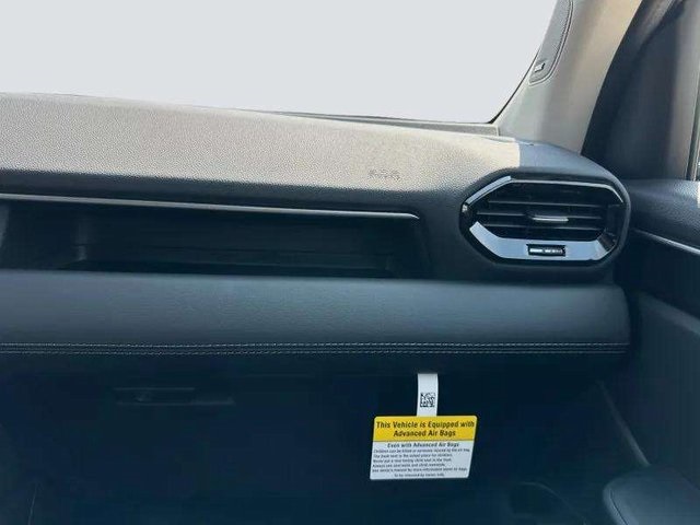 2025 Honda Pilot Elite photo 11