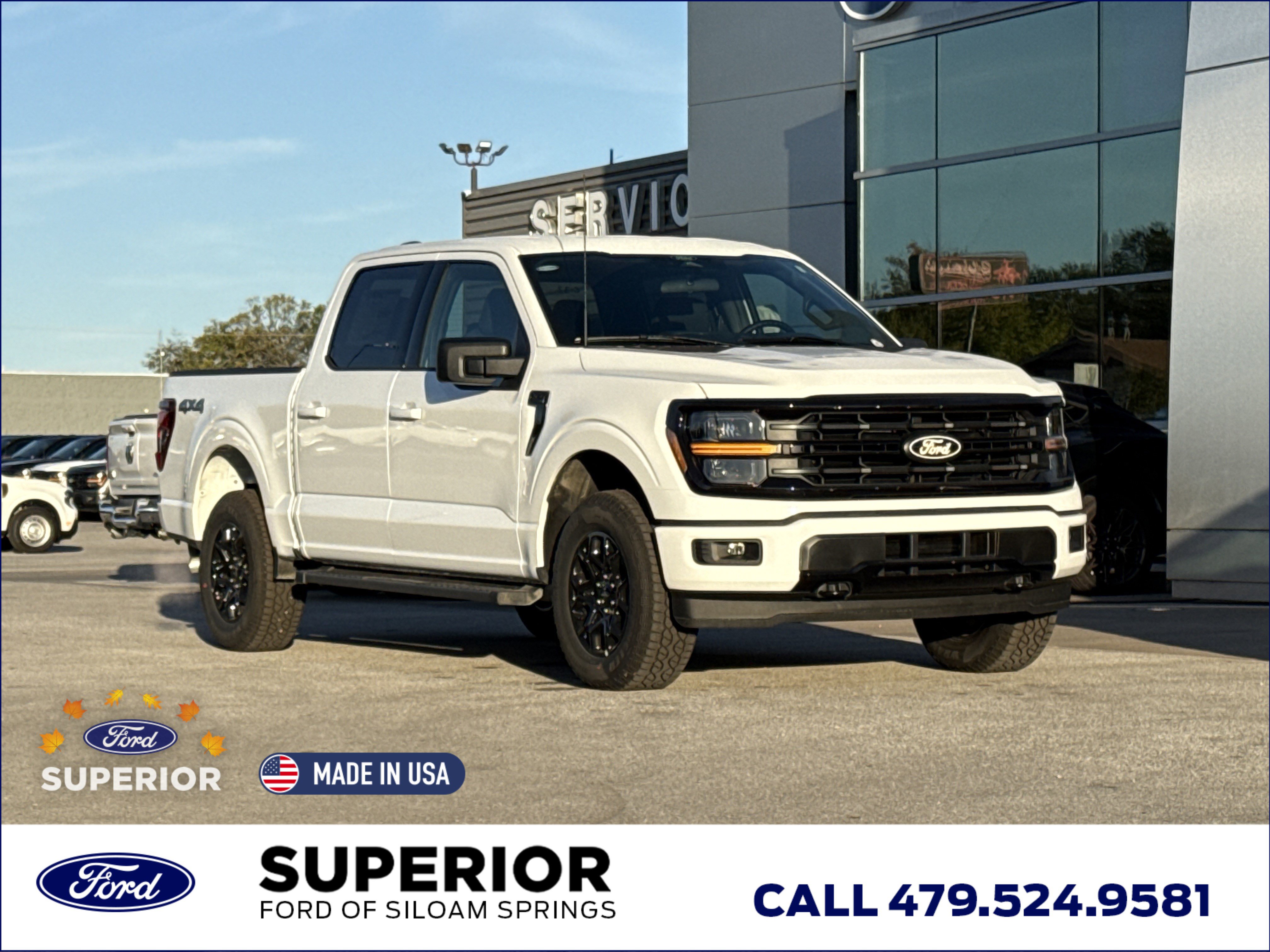 2025 Ford F-150 XLT's photo