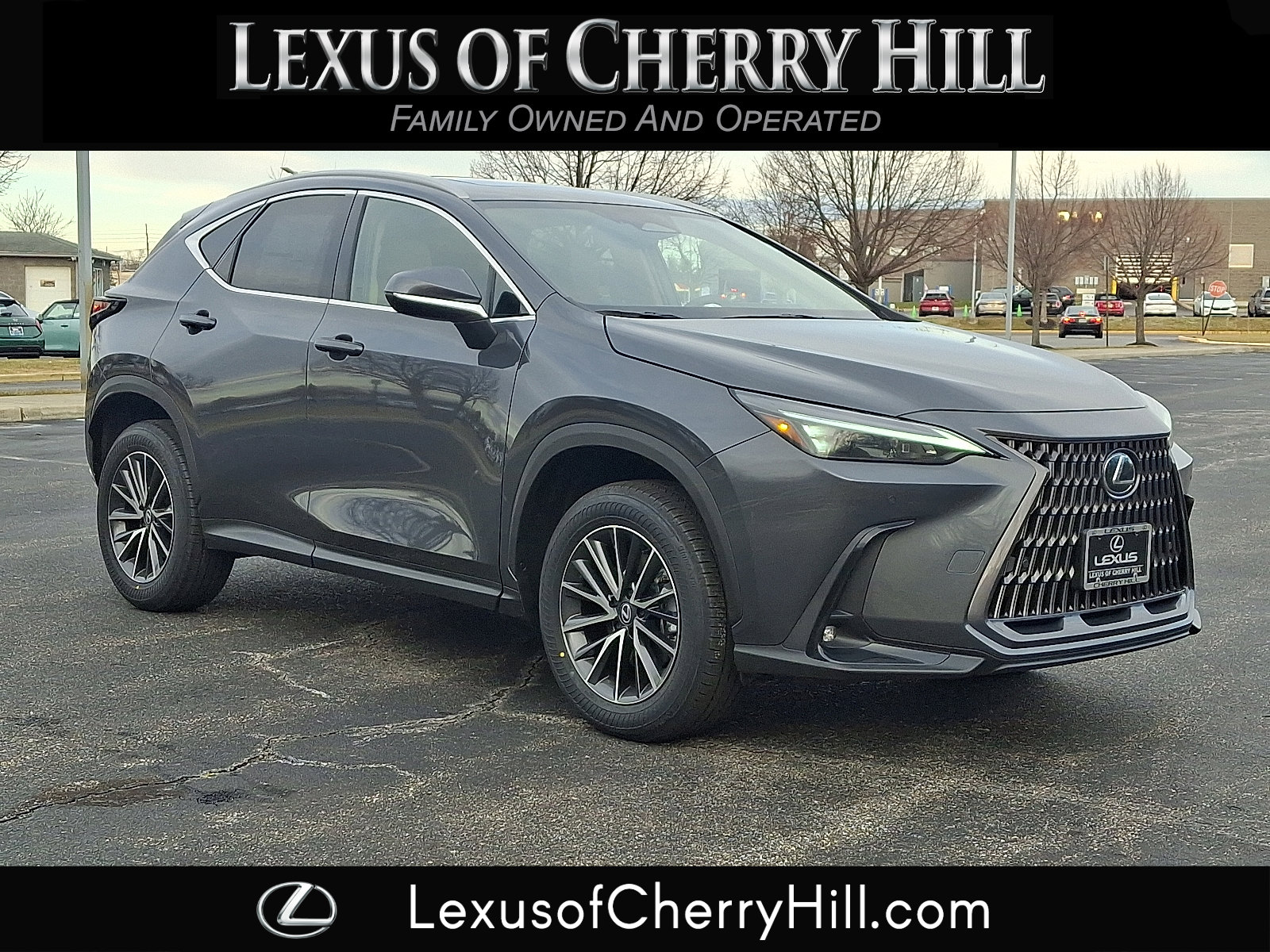 2026 Lexus NX Base's photo