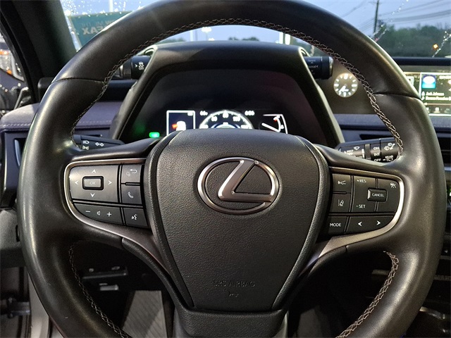 2021 Lexus UX 250h photo 22