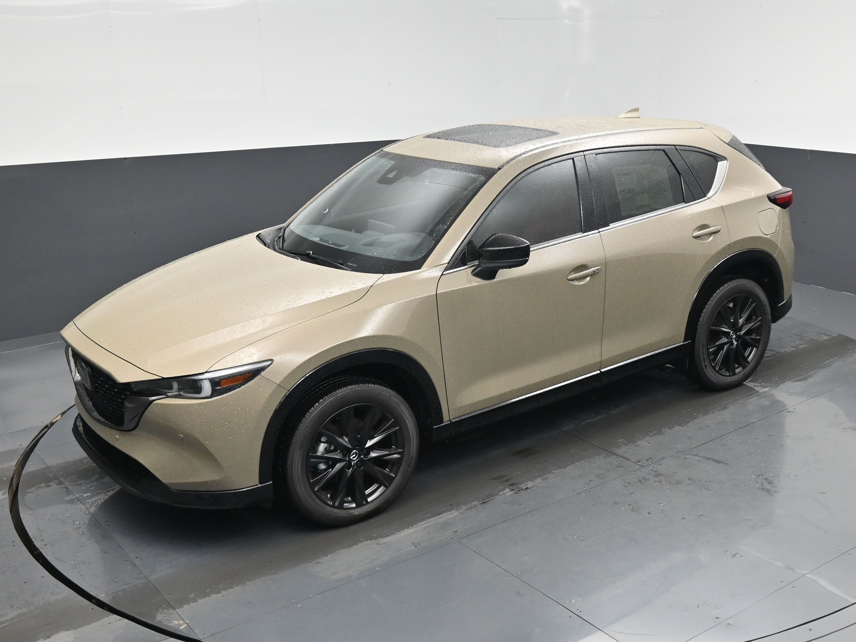 2025 Mazda CX-5 2.5 Carbon Turbo photo 42