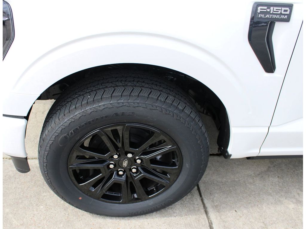 2025 Ford F-150 Platinum photo 3